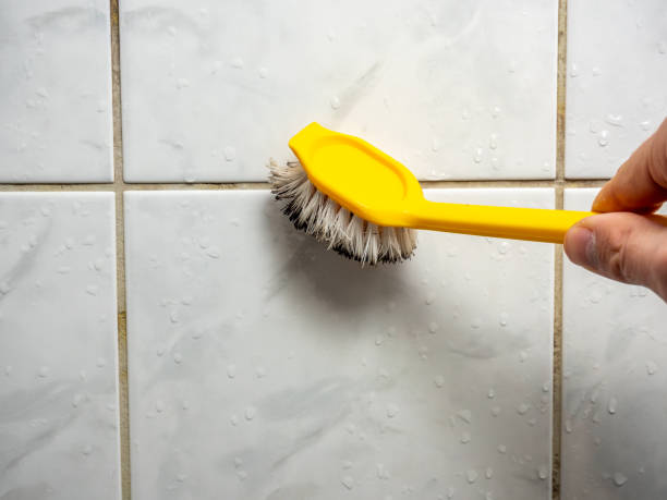Best Office Mold Removal Services  in Lakewood, IL