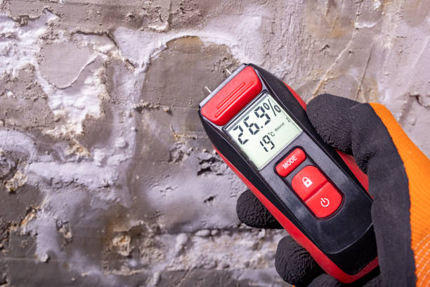 Certified Mold Removal in Lakewood, IL