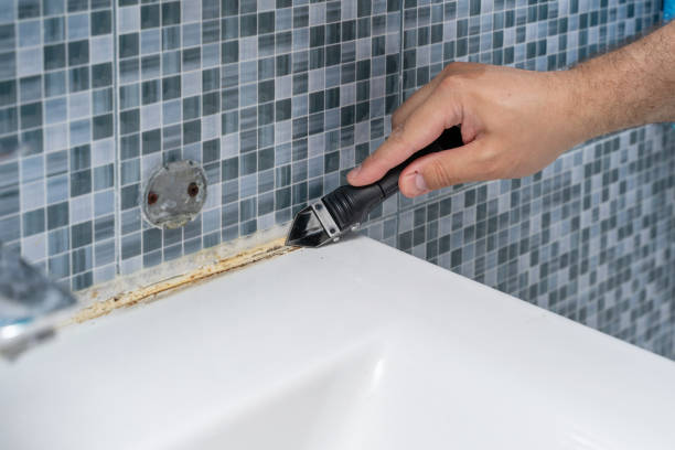 Best Mold Cleaning Services  in Lakewood, IL