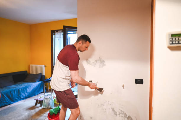 Best Emergency Mold Removal  in Lakewood, IL
