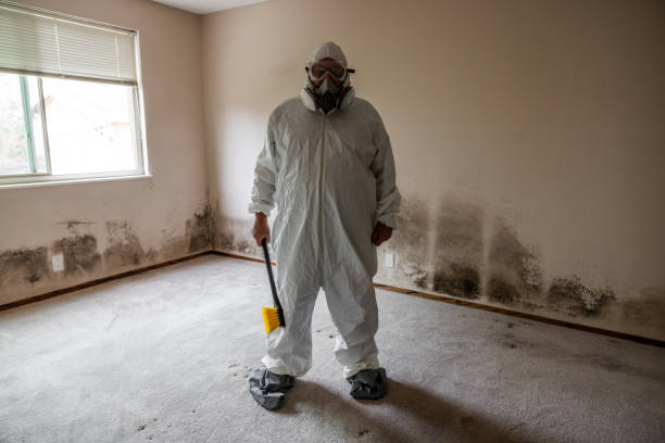 Best Crawl Space Mold Removal  in Lakewood, IL